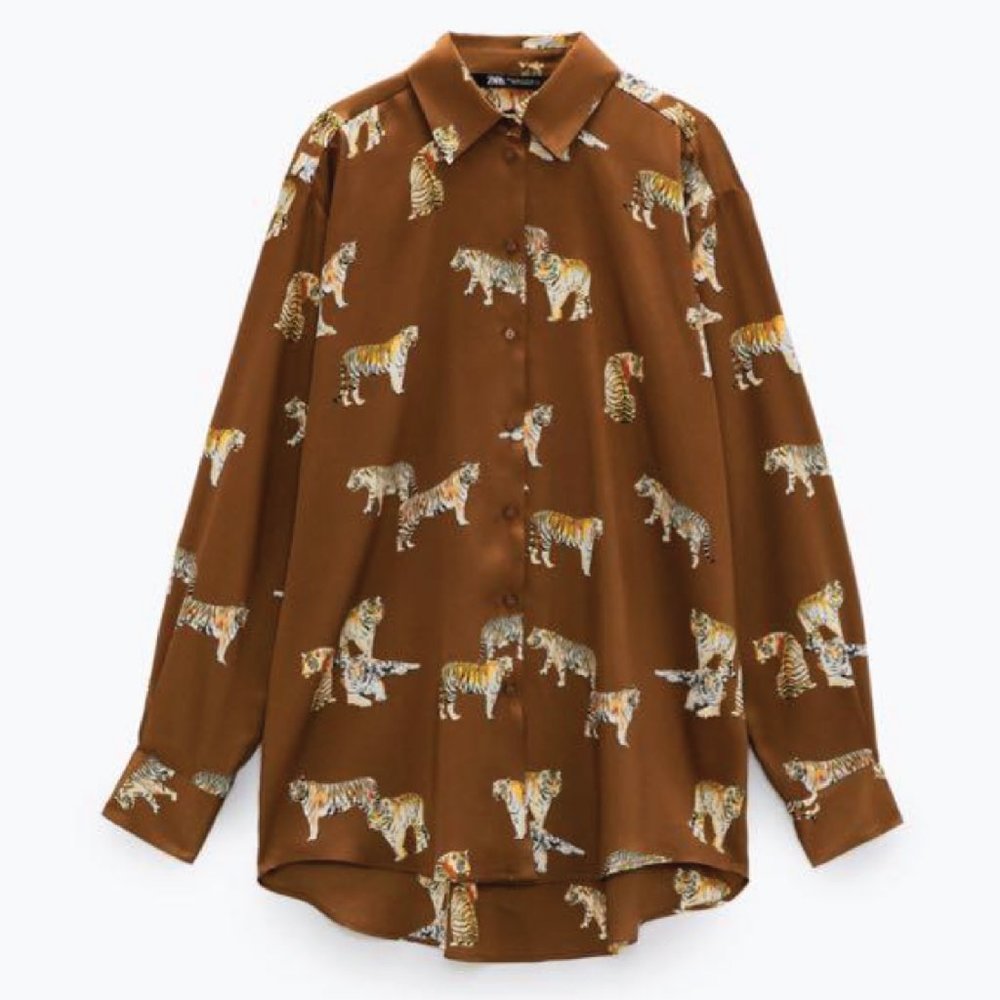 ZARA Printed Satin Button Up Top